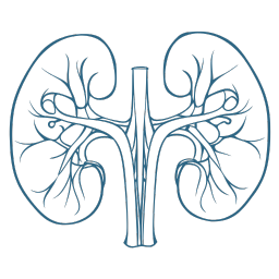 Nephrology
